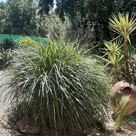 Russan Le Calme De La Garrigue B&B 외부 사진