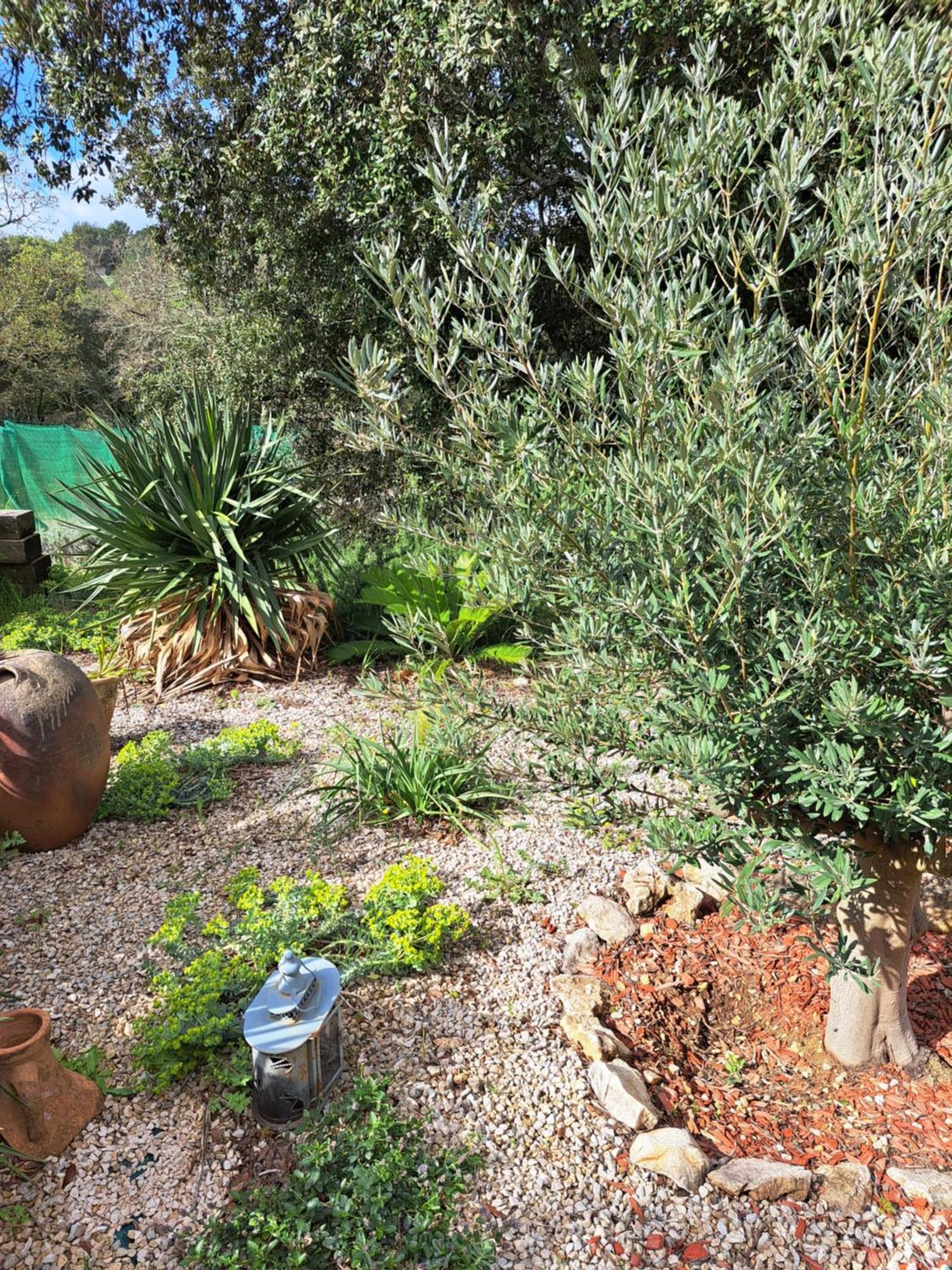 Russan Le Calme De La Garrigue B&B 외부 사진