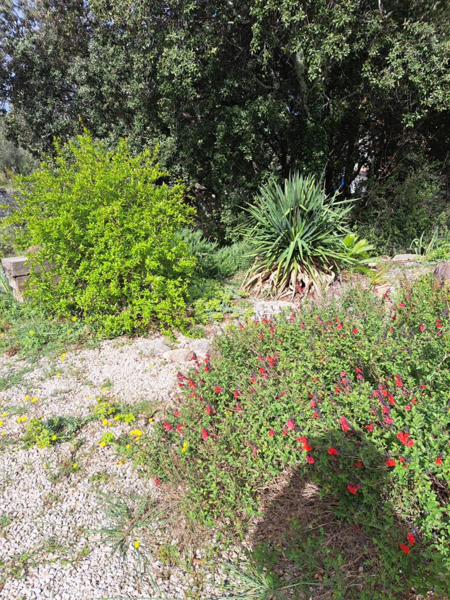 Russan Le Calme De La Garrigue B&B 외부 사진