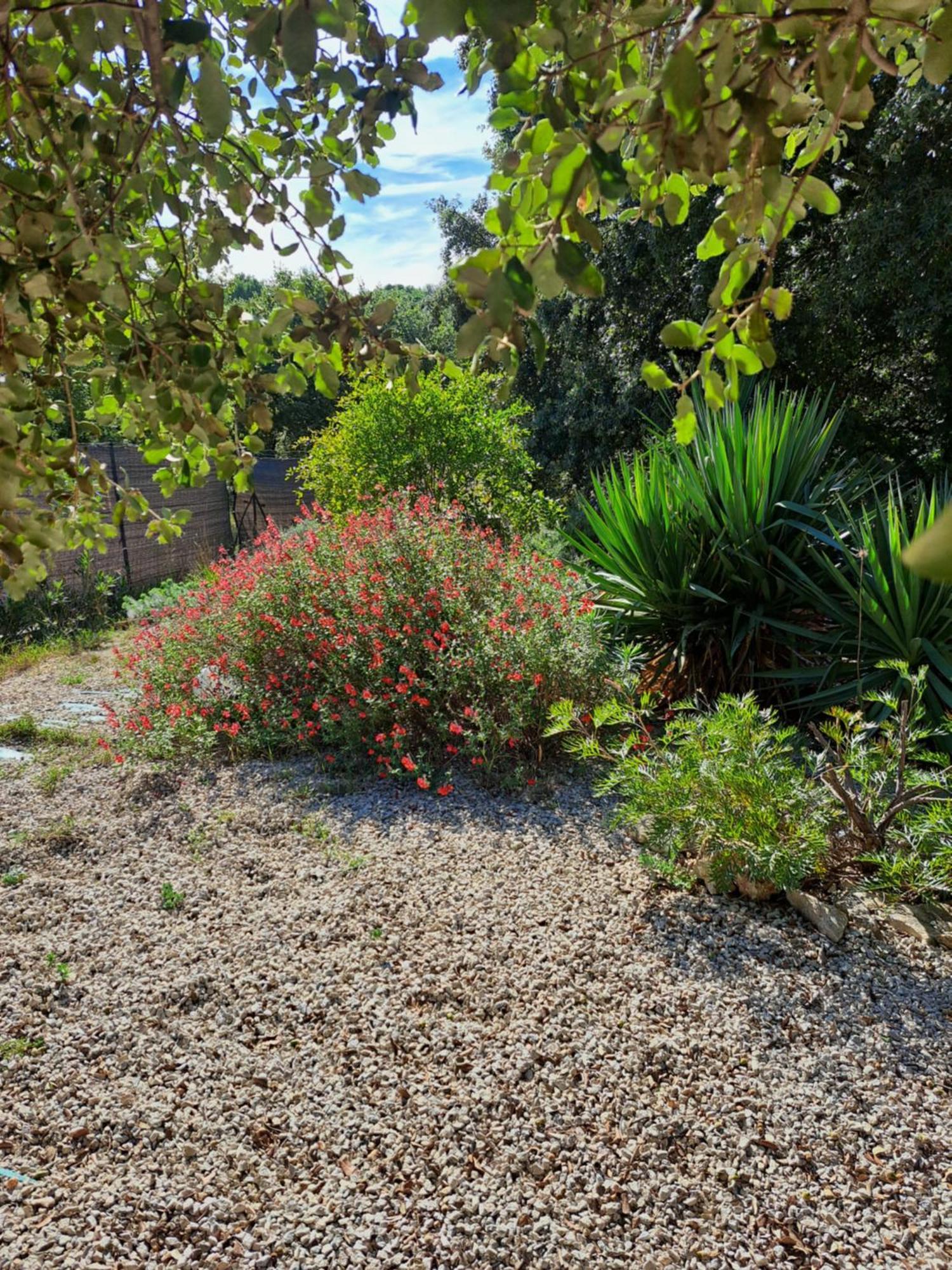 Russan Le Calme De La Garrigue B&B 외부 사진