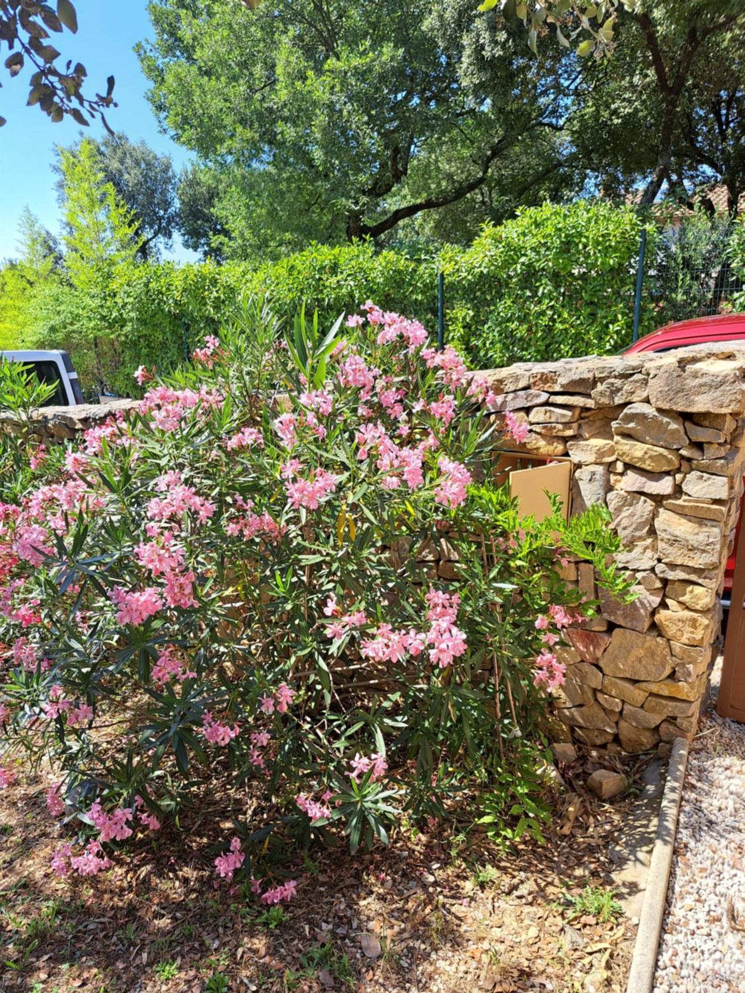 Russan Le Calme De La Garrigue B&B 외부 사진