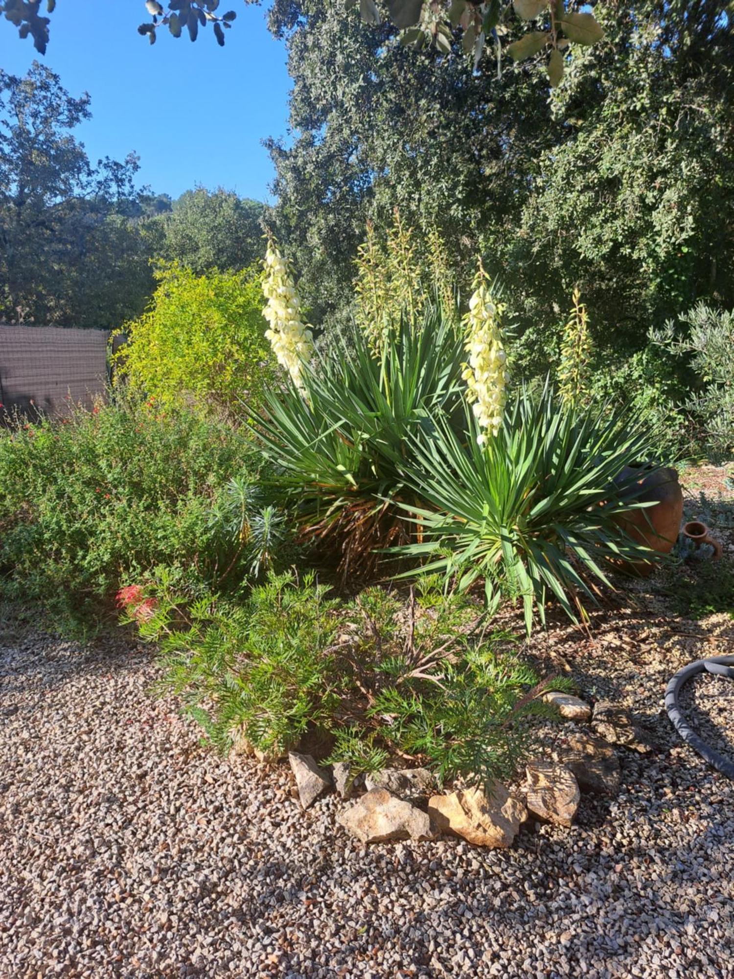 Russan Le Calme De La Garrigue B&B 외부 사진